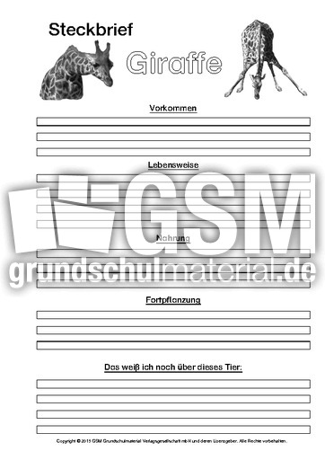 Giraffe-Steckbriefvorlage-sw-4.pdf